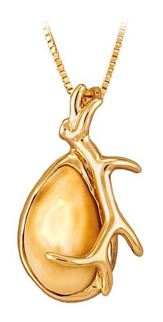 The North American elk has a special pair of teeth called buglers, whistlers or tusks. These rare and beautiful canines are a treasured kind of ivory. Displayed by a sculpted 10-kt.-gold antler and hung on an 18" 10-kt.-yellow gold box chain, your authentic elk ivory pendant will be the centerpiece of any outfit. Includes a wooden box.   Ivory pendant  Chain length 18"  Includes a wooden box Elk Ivory, Antler Pendant, Gold Box, Western Jewelry, Watches Jewelry, Box Chain, Antlers, Chain Lengths, Elk