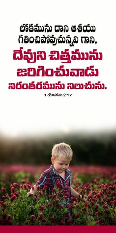 a young boy is sitting in the middle of a field with red flowers on it