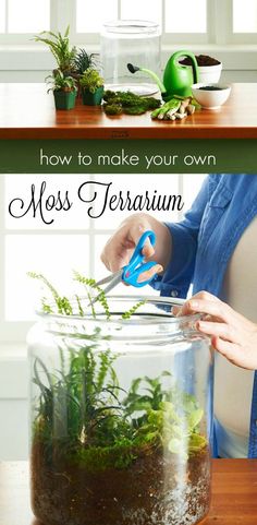 a woman is cutting moss in a jar with scissors and other plants on the table