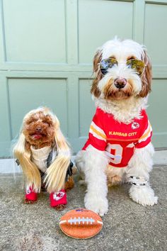 two dogs dressed up as football players