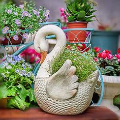 a swan statue sitting on top of a wooden table next to potted plants and flowers