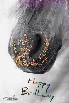 a horse's head with sprinkles on it and the words happy birthday written below