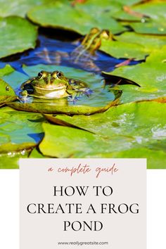 a frog sitting on top of a lily pad with the words how to create a frog pond