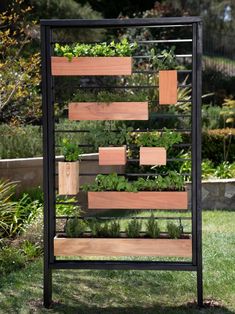 an outdoor herb garden with plants growing in wooden boxes on the sides and black metal frame