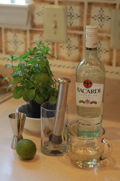 a bottle of bacardi gin is sitting on the counter next to two shot glasses