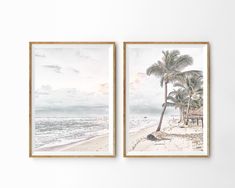 two framed pictures hanging on the wall next to each other, one with a palm tree