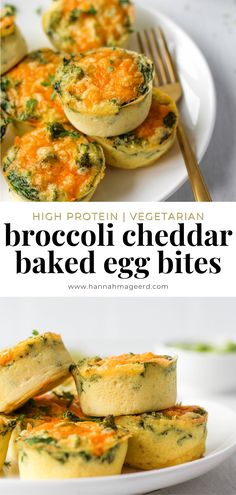 broccoli cheddar baked egg bites on a plate