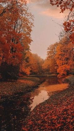 an autumn scene with leaves on the ground and water in the foreground at sunset