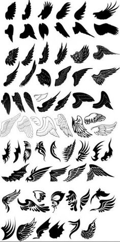 a large collection of black and white birds flying in the air, with wings spread out