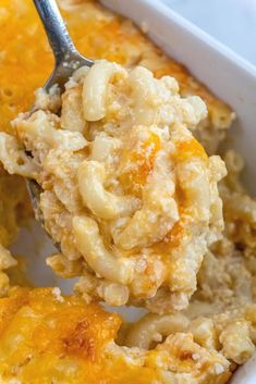 a spoon full of macaroni and cheese casserole