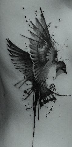 a black and white photo of a bird with splatters on it's chest