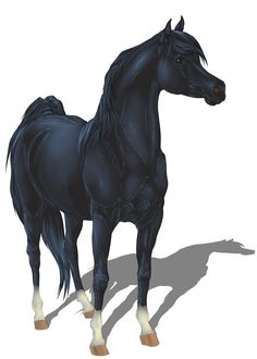 a black horse standing on top of a white floor