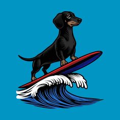 a black dachshund standing on top of a surfboard