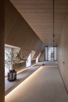 an empty hallway is lit up with lights and plants in vases on the floor