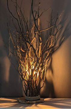 a vase with branches and lights in it