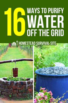 Live Off Grid, Living Off Grid, Water Collection System, Survival Skills Emergency Preparedness, Water Survival, Purify Water