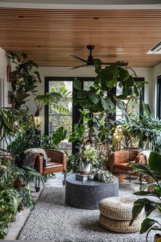 a living room filled with lots of plants next to a couch and table on top of a rug