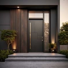 an entrance with steps leading up to the door and plants in pots on either side