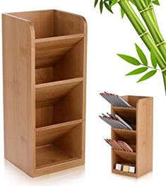 a bamboo plant next to a wooden shelf