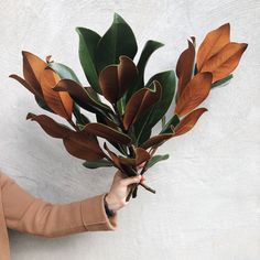 a woman holding a bunch of green and brown leaves on top of a white wall