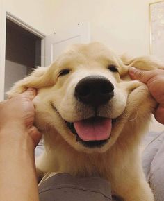 a person is petting a dog with its tongue out and it's eyes open