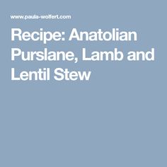 the recipe for an italian purslane, lamb and lenti stew