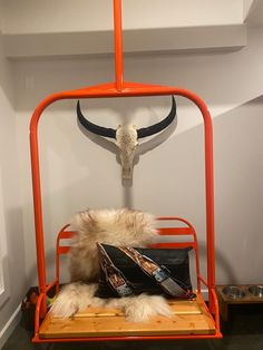 a stuffed animal sitting on top of a wooden shelf next to a cow's skull