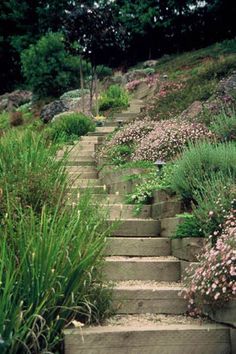 stone steps leading up to the top of a hill with flowers growing on it and bushes in the foreground