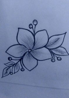 a drawing of a flower with leaves on it