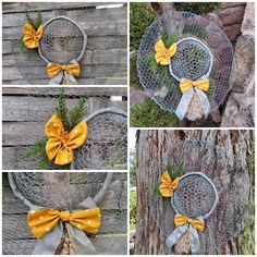 four different pictures of the same bow on a tree