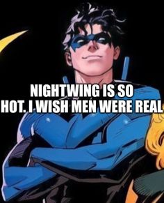 an image of a man with his arms crossed and the caption saying nightwing is so hot, i wish men were real