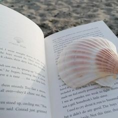 an open book with a sea shell on it's cover and sand in the background