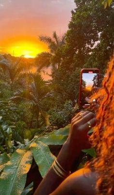 a woman taking a photo with her cell phone in the jungle at sunset or dawn