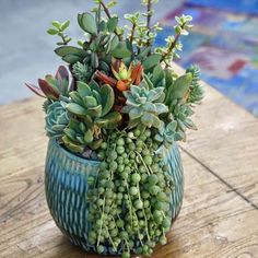 a potted plant sitting on top of a wooden table