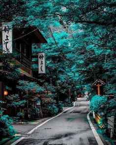 an empty road surrounded by trees and lanterns