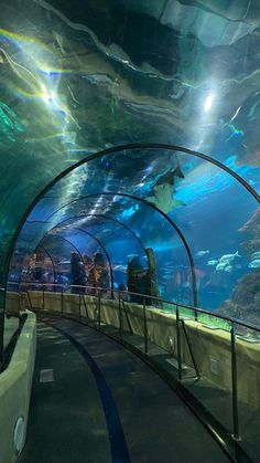 people are standing in an aquarium looking at the fish