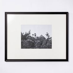 a black and white photo hanging on the wall next to a framed photograph with trees in the background