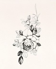 a black and white drawing of flowers with leaves on the bottom half of their petals