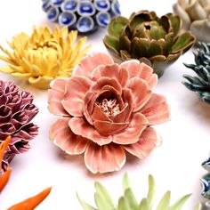 there are many different types of succulents on the white table top together