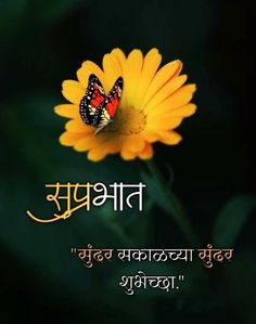 a butterfly sitting on top of a yellow flower with the words,'be happy to you