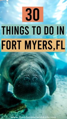 a manant swimming in the water with text overlay that reads 30 things to do in fort myers, fl