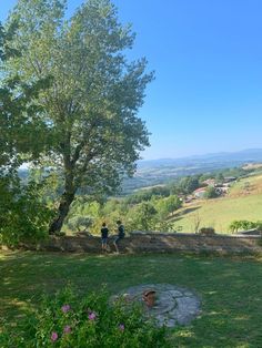 two people sitting on a bench under a tree in the middle of a grassy field