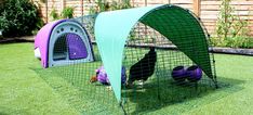 a large green and purple cage with two dogs in it on top of the grass