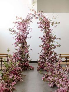 an instagram photo with pink flowers on the ground and two benches in front of them