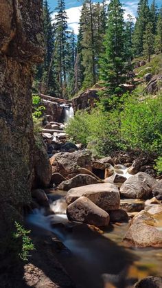 a stream running through a forest filled with rocks