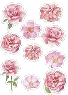 pink flowers with green leaves are arranged in the shape of stickers on a white background