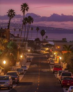 cars parked on the side of a road at night with palm trees in the background