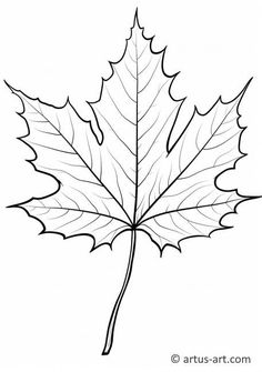 the outline of a maple leaf with leaves on it's tip and bottom edge