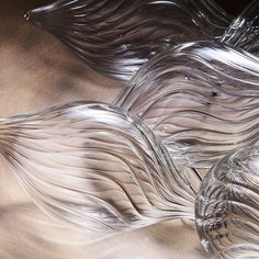 an abstract image of wavy lines on the back of a horse