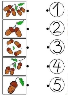 an image of counting numbers with nuts and leaves on the same number line, which one is